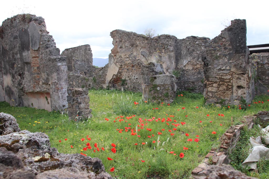 VIII.3.21 Pompeii. May 2024. Looking south-east over wall across room (7) from VIII.3.24.
Triclinium (6) is on the left, doorway to room (4) is in centre, and doorway into room (3) is centre right of photo.
Photo courtesy of Klaus Heese.
