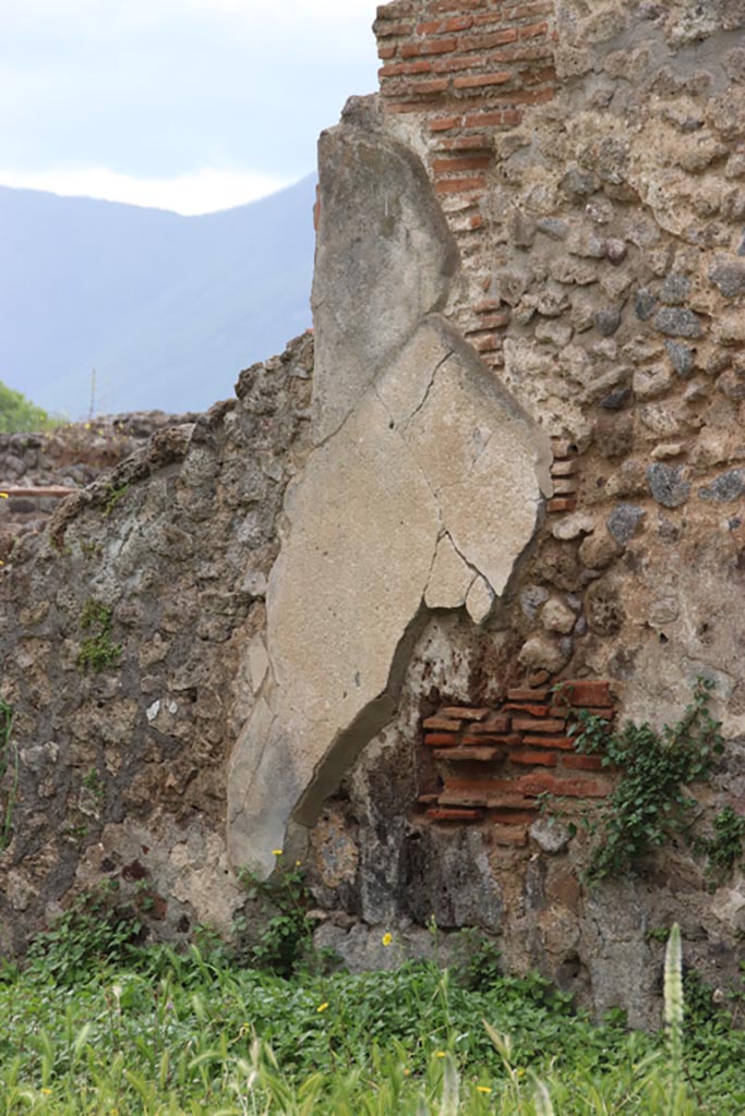 VIII.3.21 Pompeii. May 2024.
Looking towards remaining plaster on south wall of room (4), photo taken over wall from VIII.3.24.
Photo courtesy of Klaus Heese.