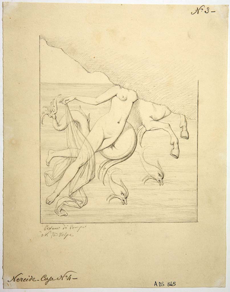 VIII.4.4 Pompeii. Drawing by Nicola La Volpe, of painting from the east wall of room 12.
The design showed a Nereid, headless, shirtless, with a veil on her legs raised with the right hand, and leaning on a sea horse or sea bull, also headless, with front hooves and the coiled tail of a fish, that is moving to the right; two dolphins swim below. 
Nothing remains of the painting today.
Now in Naples Archaeological Museum. Inventory number ADS 845.
Photo © ICCD. http://www.catalogo.beniculturali.it
Utilizzabili alle condizioni della licenza Attribuzione - Non commerciale - Condividi allo stesso modo 2.5 Italia (CC BY-NC-SA 2.5 IT)

