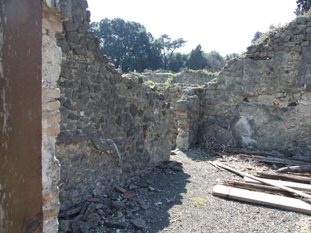 VIII.4.15 Pompeii. March 2009. Room 18. Cubiculum. Remains of painted plant decoration in south west corner.