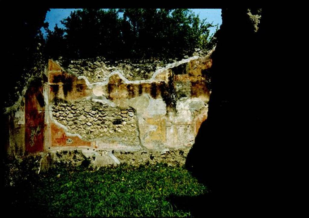 VIII.4.34 Pompeii.   Rear wall of Tablinum.  Photographed 1970-79 by G�nther Einhorn, picture courtesy of his son Ralf Einhorn.
