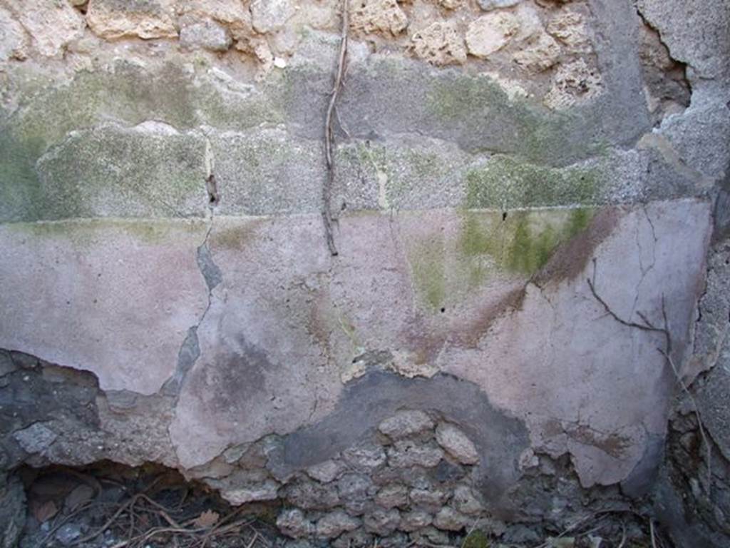 VIII.5.9 Pompeii. March 2009. Room 18. South wall.