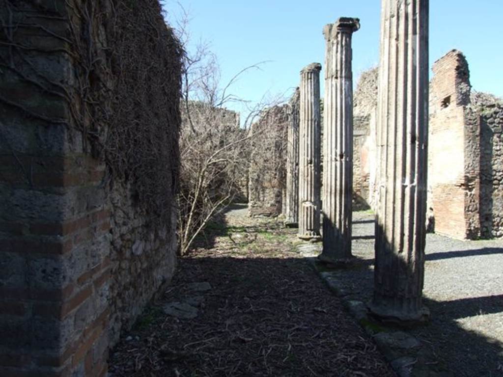 VIII.5.9 Pompeii. March 2009. Peristyle garden. Looking west across narrow part of Peristyle, where there was a small square water basin built against the back wall. Nothing remains, only the three flat slabs mark the area.
