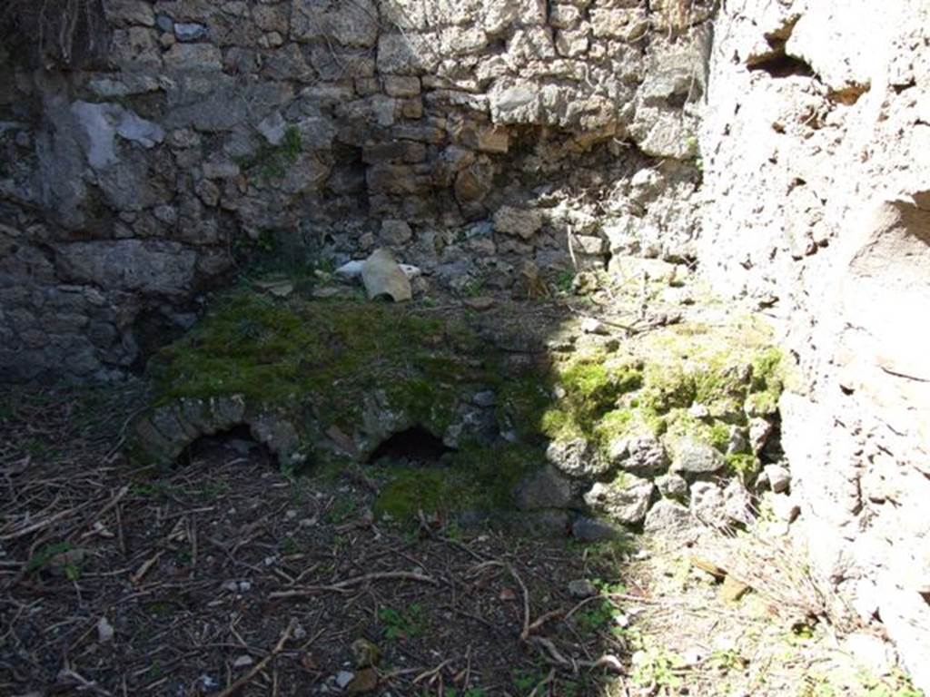 VIII.5.9 Pompeii. March 2009. Room 21, Kitchen. West wall and Hearth.