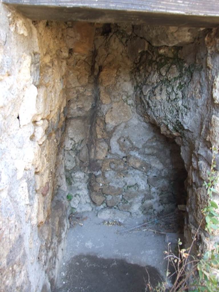 VIII.5.15 Pompeii. March 2009. Room 1. Small room under stairs. Latrine? Looking north.