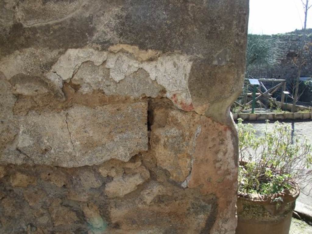 VIII.5.15 Pompeii. March 2009. Room 1. South wall.