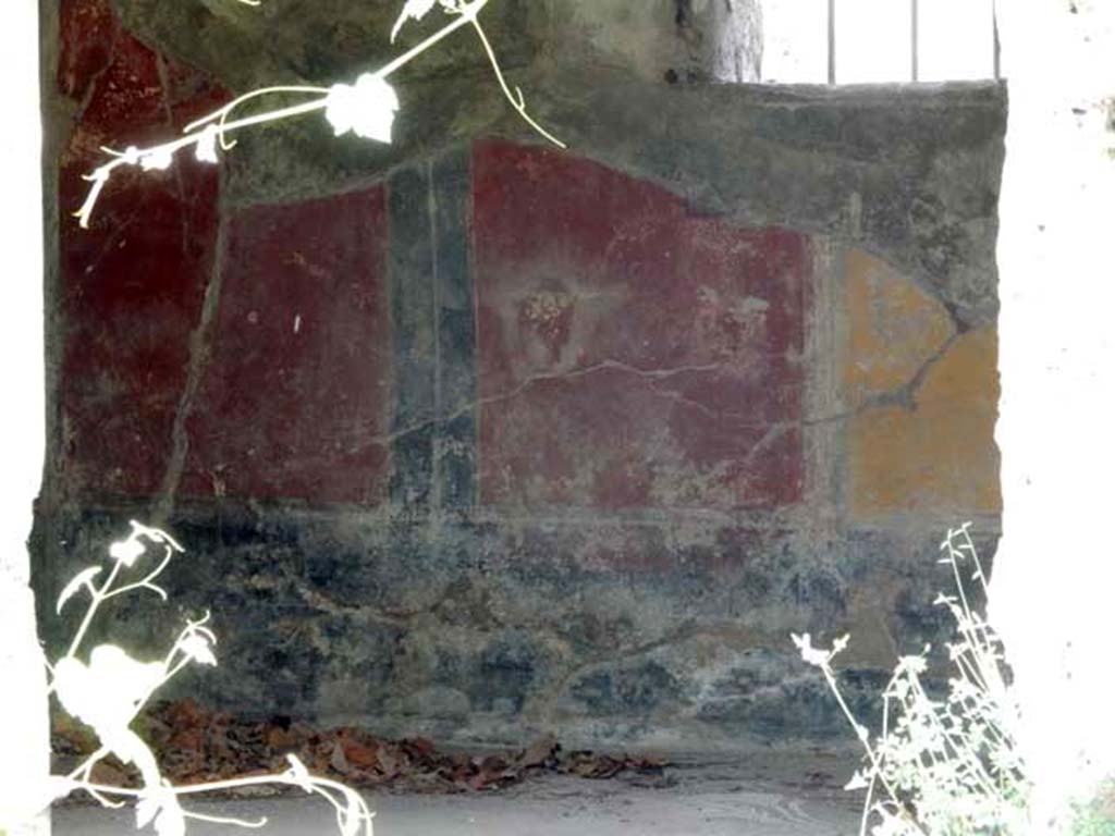VIII.5.15 Pompeii. May 2017.
Room 9, remains of painted decoration on north wall of cubiculum, under a modern window. Photo courtesy of Buzz Ferebee.