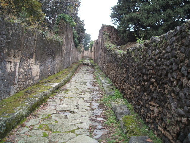 VIII.5.36 Pompeii.  December 2006.  Looking north west from entrance.  