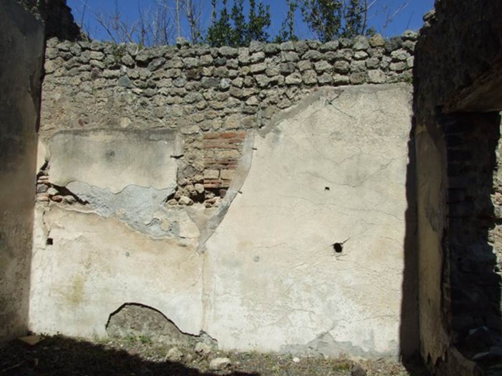 VIII.5.37 Pompeii. March 2009. Room 12. North wall.