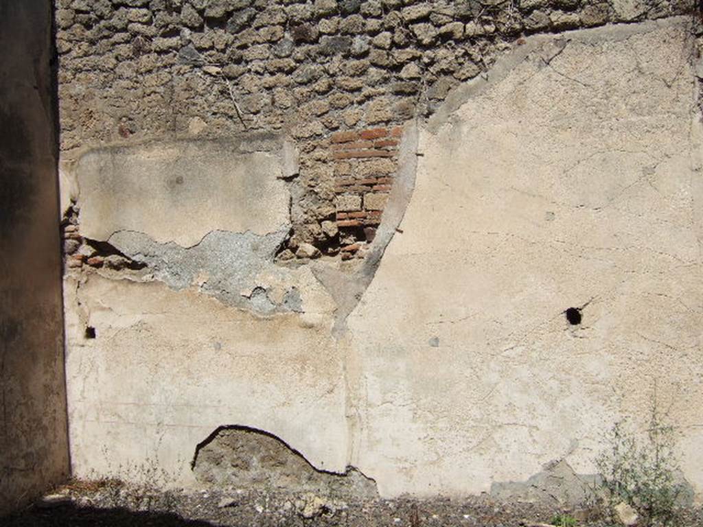 VIII.5.37 Pompeii. September 2005. Room 12. North wall.
