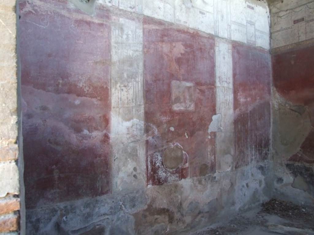 VIII.5.37 Pompeii. March 2009. Room 13. Oecus. South wall.