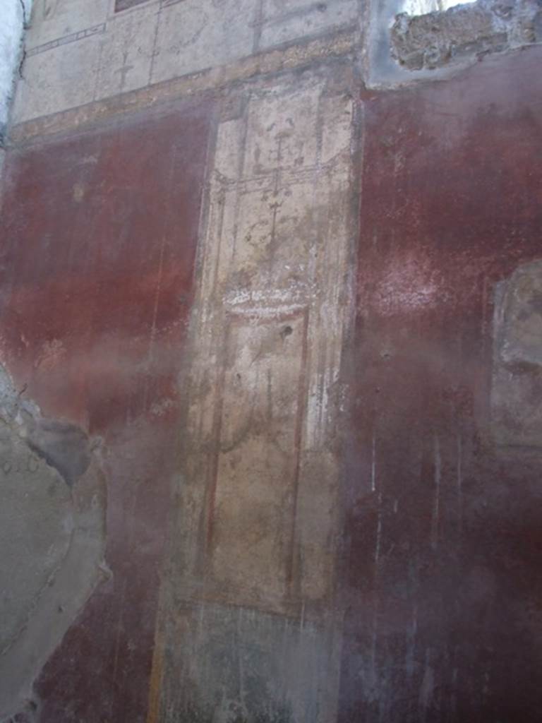 VIII.5.37 Pompeii. March 2009. Room 13. Oecus. West wall. South end.