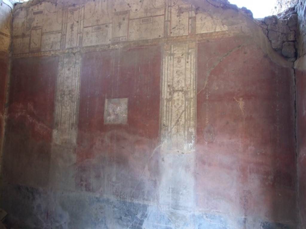 VIII.5.37 Pompeii. March 2009. Room 13. Oecus. North wall.