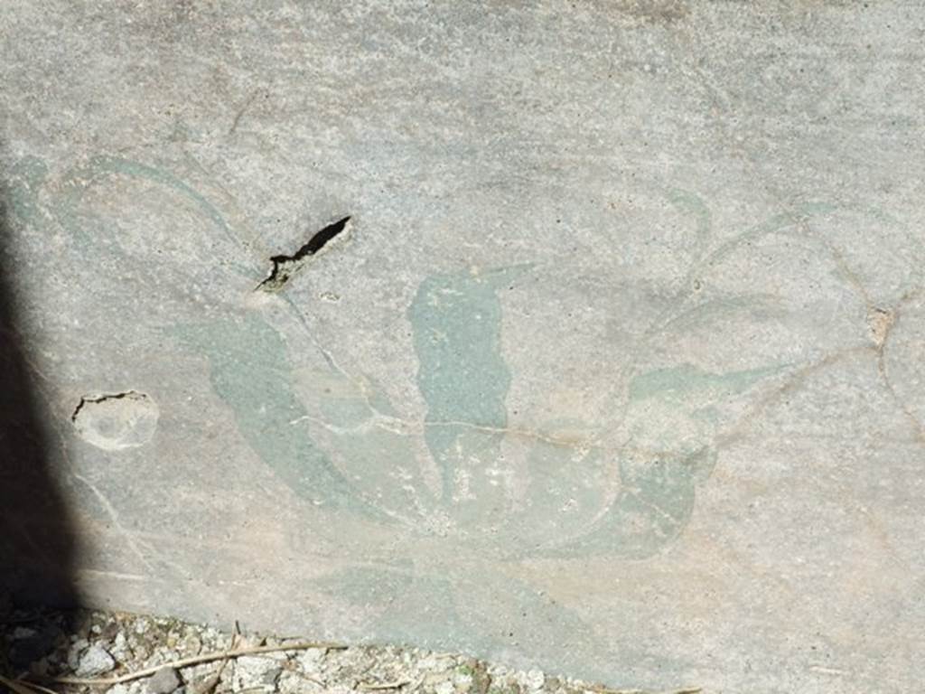 VIII.5.39 Pompeii. March 2009. Room 8, Painted plant decoration.