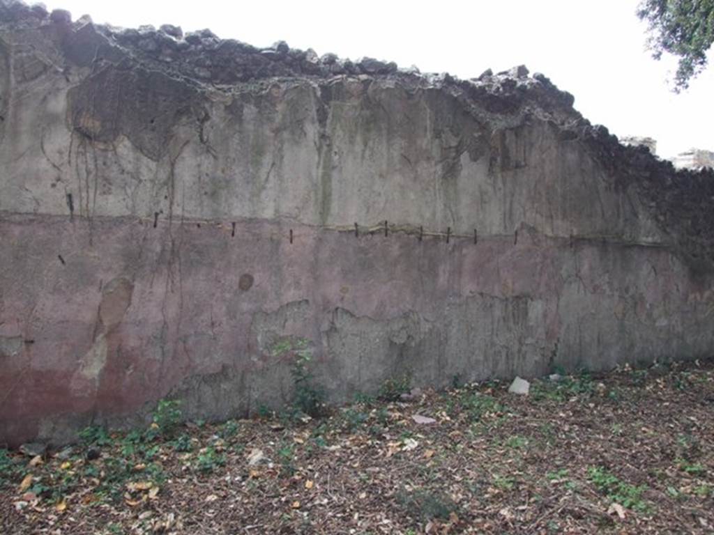 VIII.6.6 Pompeii. December 2007. South wall.
According to Jashemski -
“The animal painting on the south wall was a survival from an earlier house, as was the simple aedicula shrine in the south-west corner.”
See Jashemski, W. F., 1993. The Gardens of Pompeii, Volume II: Appendices. New York: Caratzas. (p.219).
According to NdS –
“On the south wall, but mostly fallen, there were the remains of a large painting, depicting one of the usual hunting scenes. There you could see, almost life-size, a lion with an open mouth, fleeing to the left was a deer that was brought down by a wild boar, of which only the legs and snout remained.”
(Sul muro meridionale, in gran parte caduto, vi era l’avanzo di una grandiosa pittura, ritraente una delle solite scene di caccia.
Vi si vede, quasi a grandezza naturale, un leone dalla bocca aperta, fuggente a sinistra, era un cervo che stramazza addentato da un cinghiale, del quale rimangono solo le zampe e il muso.)
See Notizie degli Scavi, August 1884, p. 280.