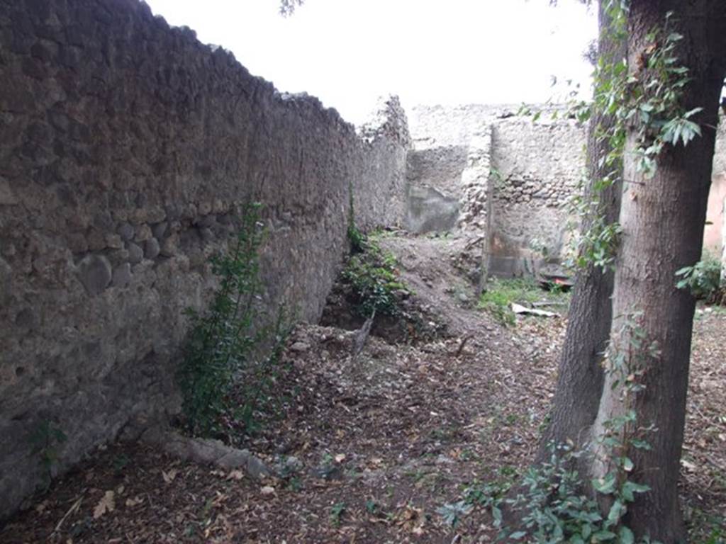 VIII.6.6 Pompeii. Horticultural plot. December 2007. Looking west along south wall.