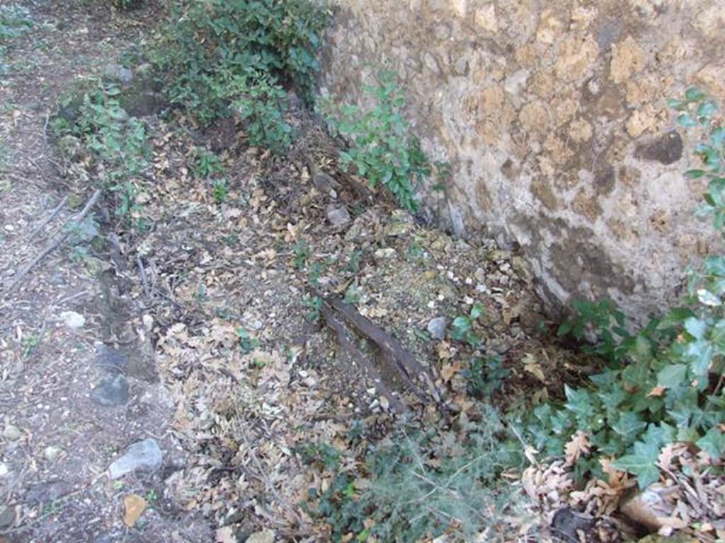 VIII.6.6 Pompeii. March 2009. Depression in the soil, against the south wall. Looking east.