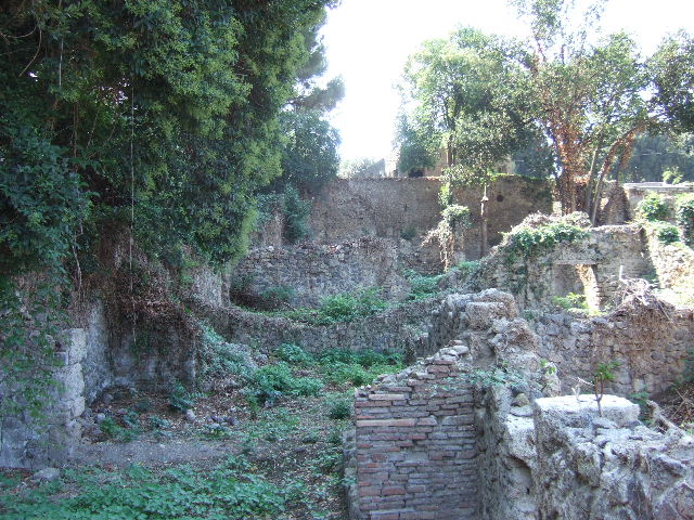 VIII.7.1 Pompeii. September 2010. Looking west across garden area to rear wall, in centre of picture, and beyond to part of VII.7.6. Photo courtesy of Drew Baker.