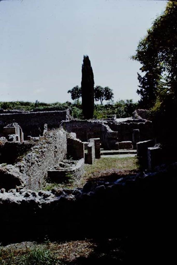 VIII.7.1 Pompeii. 1966. Looking east from rear towards entrance on Via Stabiana. Photo by Stanley A. Jashemski.
Source: The Wilhelmina and Stanley A. Jashemski archive in the University of Maryland Library, Special Collections (See collection page) and made available under the Creative Commons Attribution-Non Commercial License v.4. See Licence and use details.
J66f0190