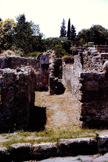 VIII.7.6 Pompeii. September 2010. Doorway to tablinum, looking west towards rear.  Photo courtesy of Drew Baker.
