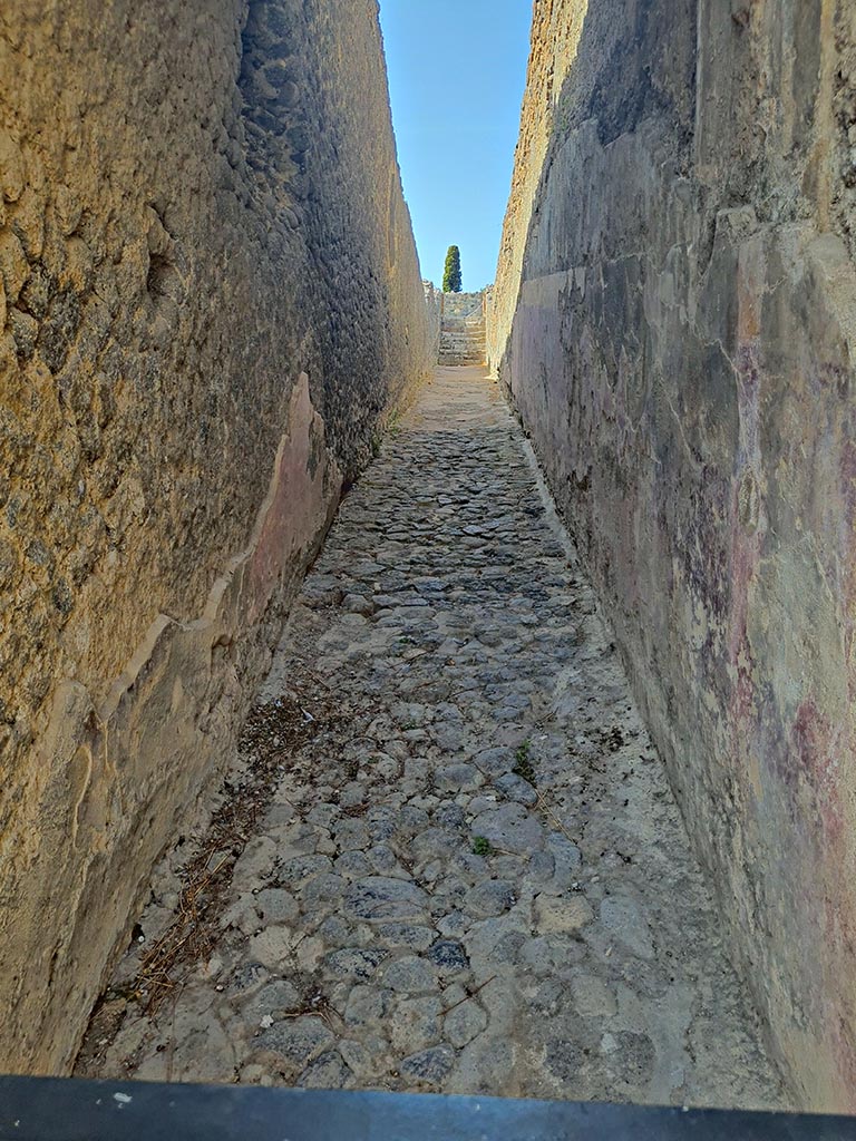 VIII.7.21 Pompeii. September 2024.
Looking west along ramp from entrance doorway. Photo courtesy of Giuseppe Ciaramella.