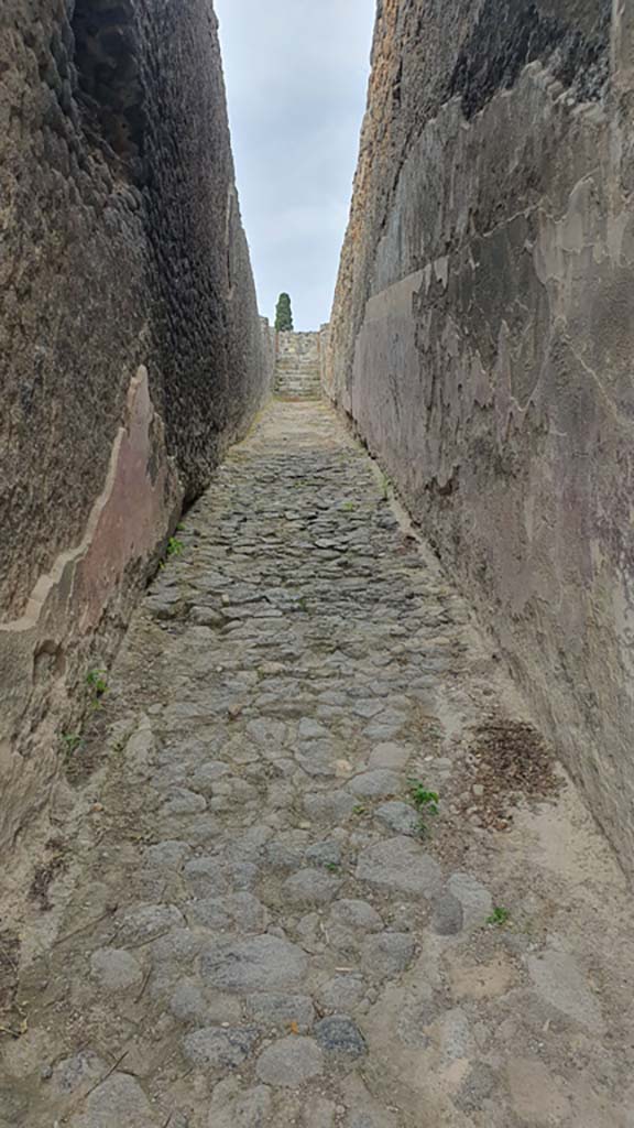 VIII.7.21 Pompeii. August 2021. Looking west along ramp from entrance doorway.
Foto Annette Haug, ERC Grant 681269 DÉCOR.