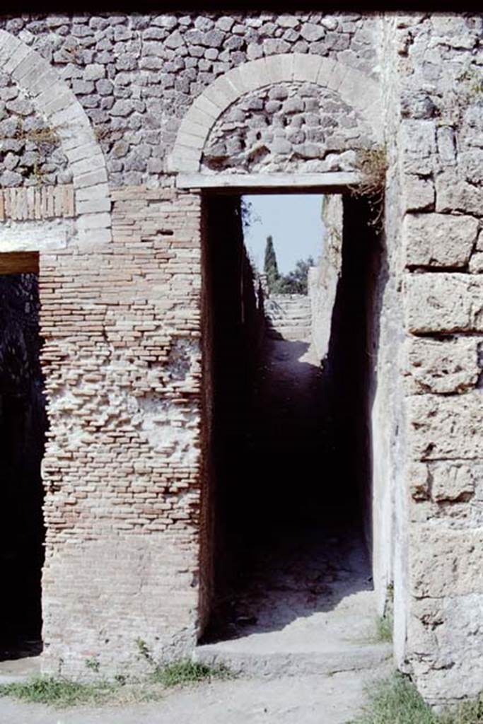 VIII.7.21 Pompeii. 1968. Entrance doorway to ramp with steps at far end. Photo by Stanley A. Jashemski.
Source: The Wilhelmina and Stanley A. Jashemski archive in the University of Maryland Library, Special Collections (See collection page) and made available under the Creative Commons Attribution-Non Commercial License v.4. See Licence and use details.
J68f1170