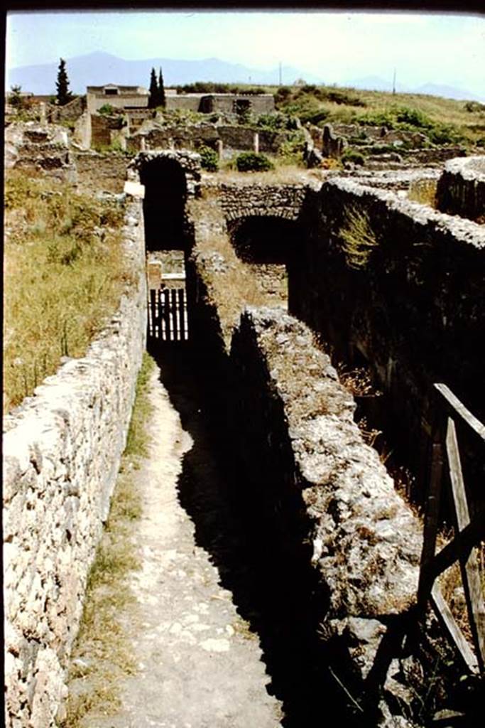 VIII.7.21 (on left) and VIII.7.20 (on right). Pompeii. 1959. Photo by Stanley A. Jashemski.
Source: The Wilhelmina and Stanley A. Jashemski archive in the University of Maryland Library, Special Collections (See collection page) and made available under the Creative Commons Attribution-Non Commercial License v.4. See Licence and use details.
J59f0265