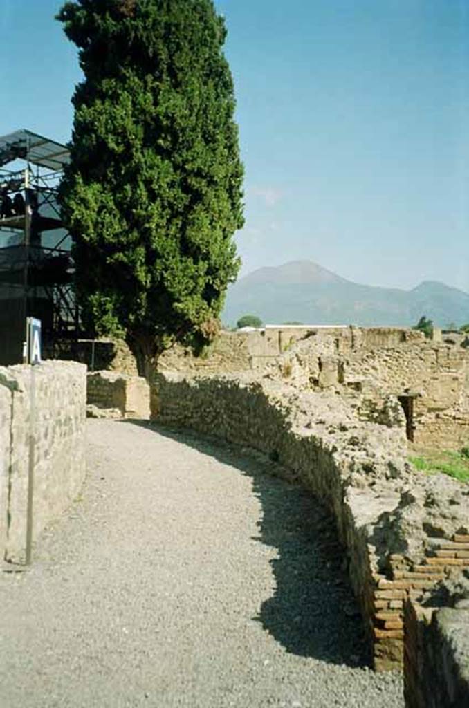VIII.7.20 Pompeii. June 2010. Remains of vaulted corridor over which ran the summa cavea.
Photo courtesy of Rick Bauer.