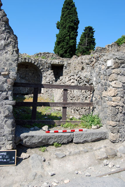 VIII.7.22 Pompeii. June 2009. South wall. Photo courtesy of Sera Baker.