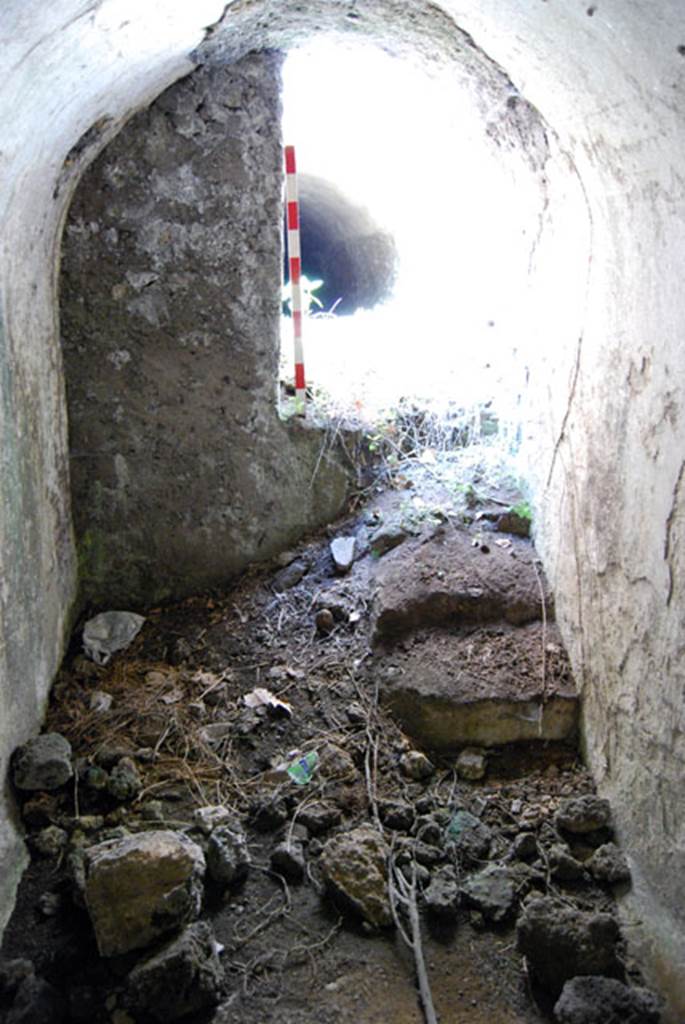 VIII.7.22 Pompeii. June 2009. Looking west from room D. Photo courtesy of Sera Baker.
