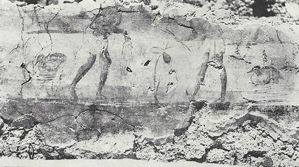 VIII.7.24 Pompeii. 1955. Fragment of Nilotic painting in peristyle. North wall. Dancing on the shore of the Nile.
See Maiuri A., 1955. Una Nuova Pittura Nilotica a Pompei. Roma: Acc. Naz dei Lincei, Tav. V, 2.