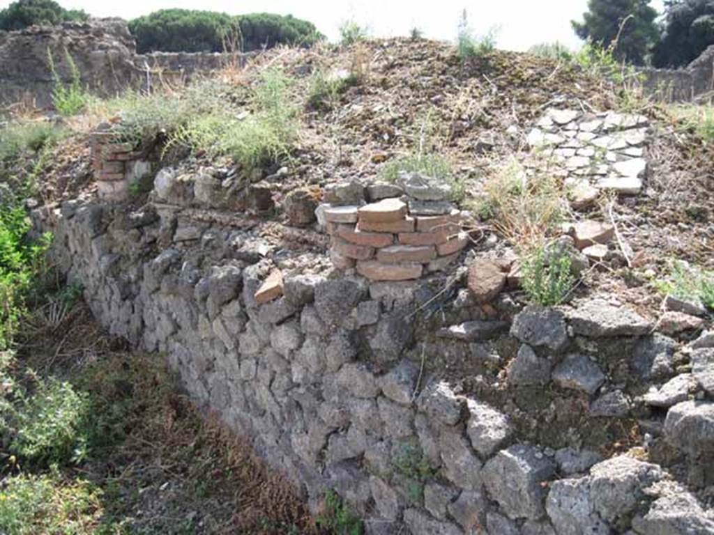 VIII.7.24 Pompeii. September 2010. Looking south-west along west wall of eastern portico, detail showing column stumps. Photo courtesy of Drew Baker.