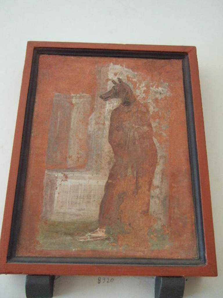 VIII.7.28 Pompeii. Painting of (priest dressed as) Anubis. Now in Naples Archaeological Museum.