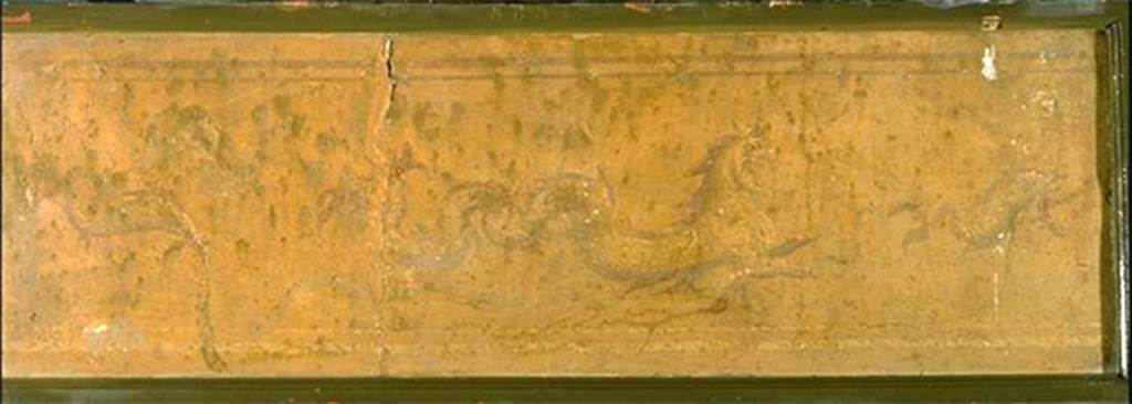 VIII.7.28 Pompeii. Marine griffin between dolphins, from the west portico.
Now in Naples Archaeological Museum. Inventory number 8851.