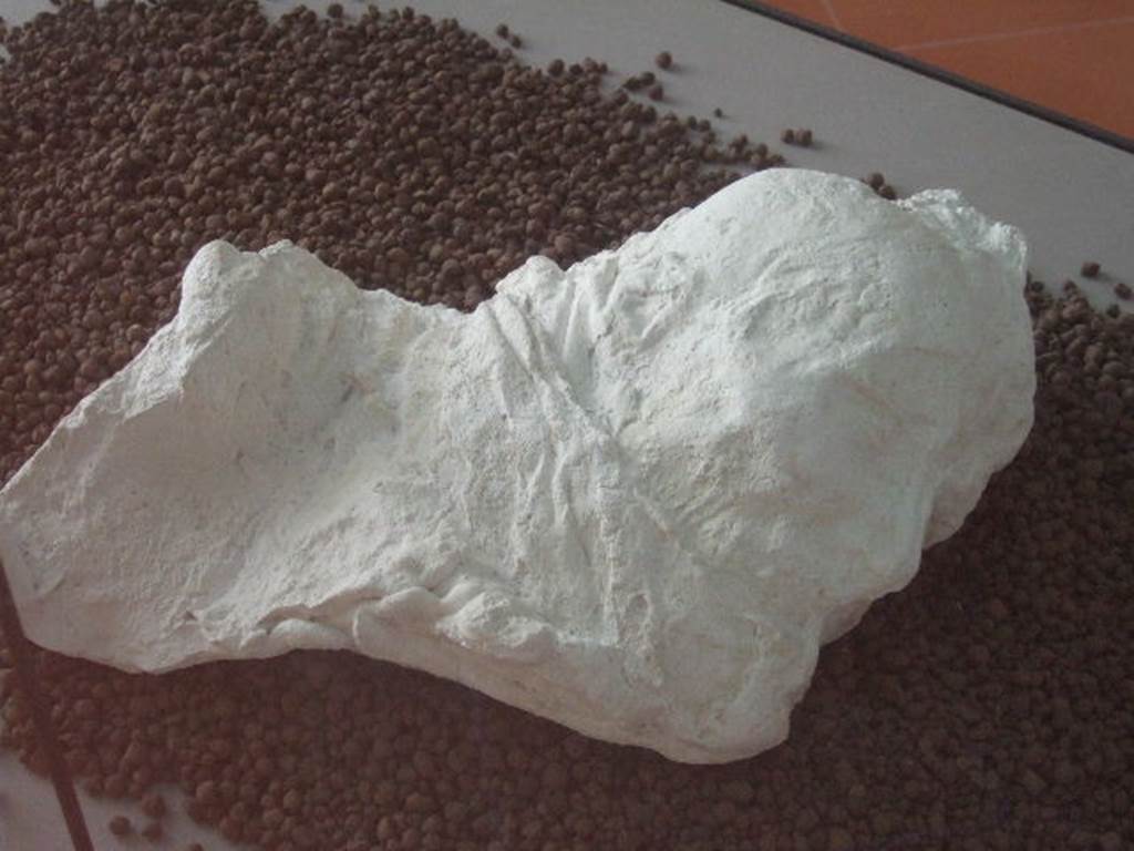 VIII.7.28 Pompeii. Cast of a woman�s head. Now in Boscoreale Antiquarium.