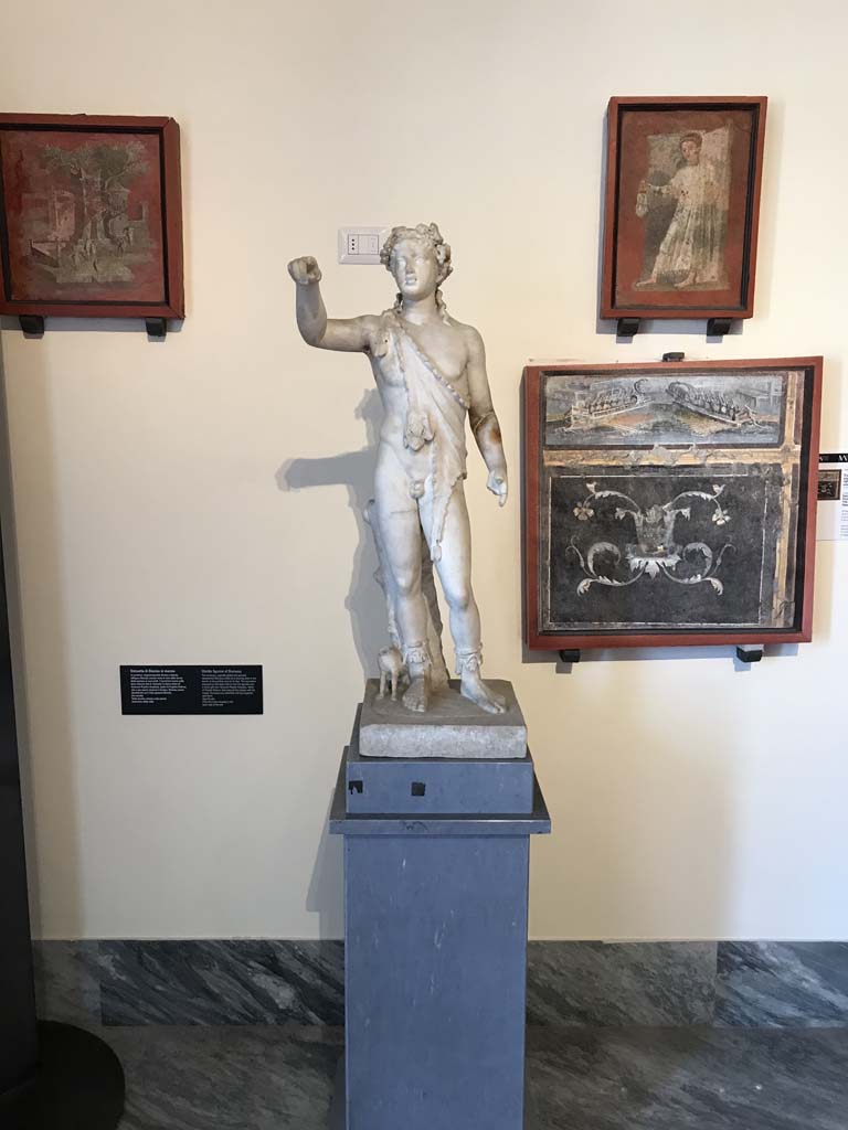 VIII.7.28 Pompeii. April 2019. Statue of Dionysus from niche in west rear wall of temple cella.
Photo courtesy of Rick Bauer.