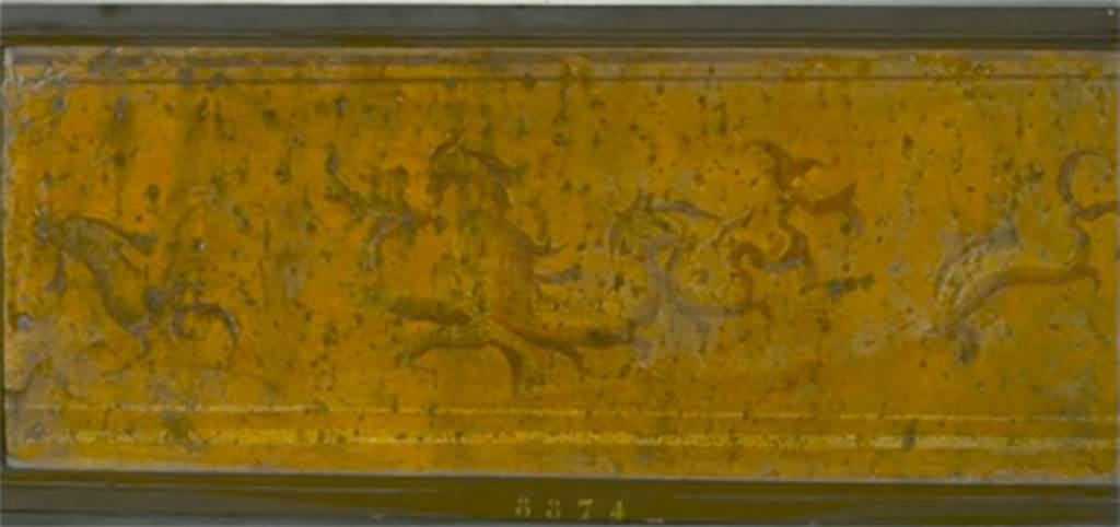 VIII.7.28 Pompeii. Zoccolo from right part of east portico. Painting of marine dragon between dolphins.
Now in Naples Archaeological Museum. Inventory number 8874.