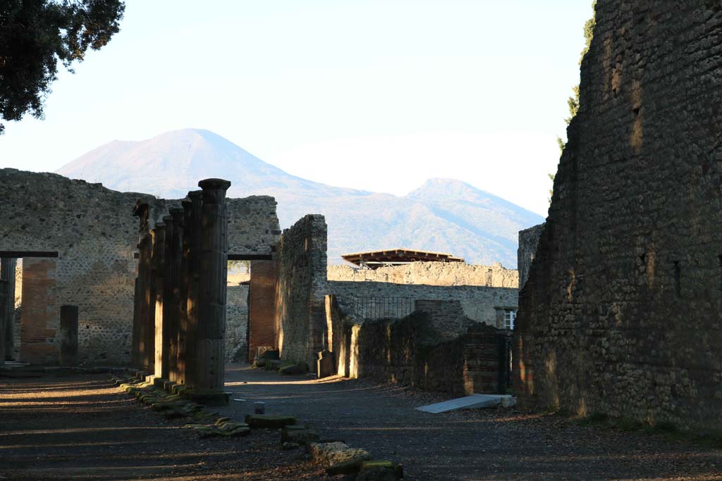 VIII.7.30 Pompeii. December 2018.
Looking along east side towards north end and Vesuvius in distance. Photo courtesy of Aude Durand.