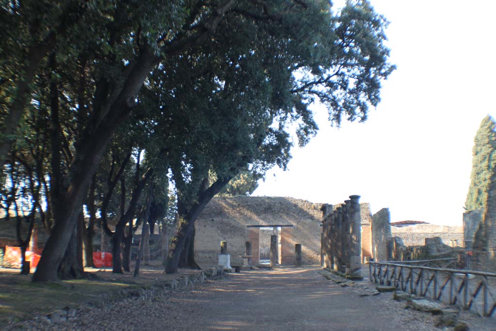 VIII.7.30 Pompeii. March 2014. Looking north in Triangular Forum.
Foto Annette Haug, ERC Grant 681269 DÉCOR.