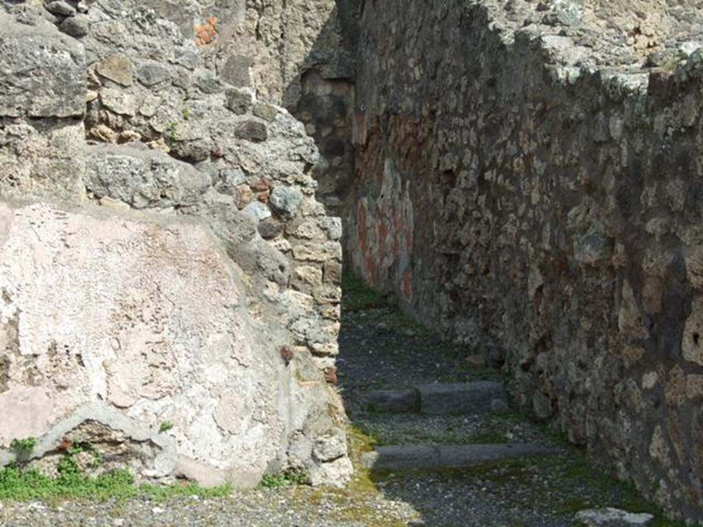 IX.1.1 Pompeii. March 2009. South east corner of shop. The two steps to the rear room show the entrance to the latrine on the left between the steps.