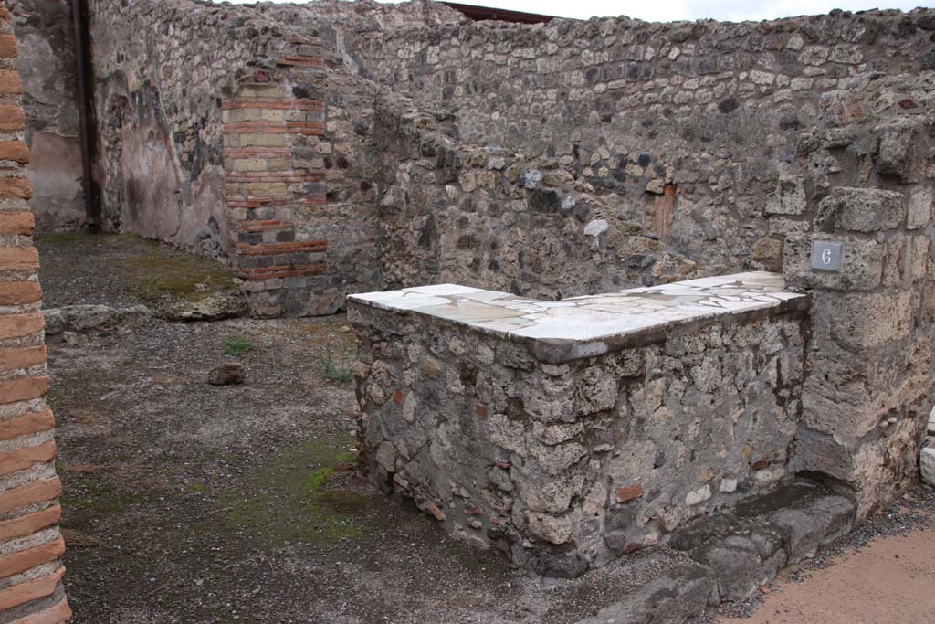 IX.1.6 Pompeii. March 2009. Rear room for customers reached by two steps, according to Fiorelli.