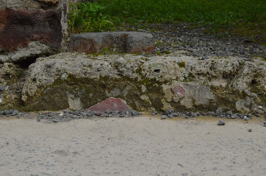 IX.1.13 Pompeii. March 2018. Detail of remaining painted plaster on step at entrance.
Foto Taylor Lauritsen, ERC Grant 681269 D�COR.
