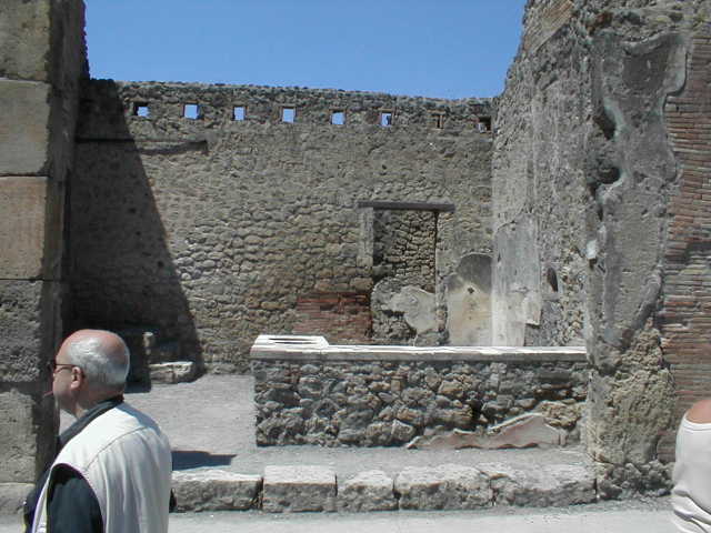 IX.1.16 Pompeii. December 2007. Painted wall plaster on north wall of rear room.  