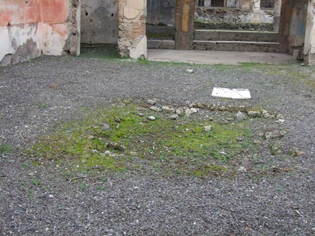 IX.1.22 House of M. Epidi Sabini. December 2007. Room 1. Atrium. Remains of impluvium.