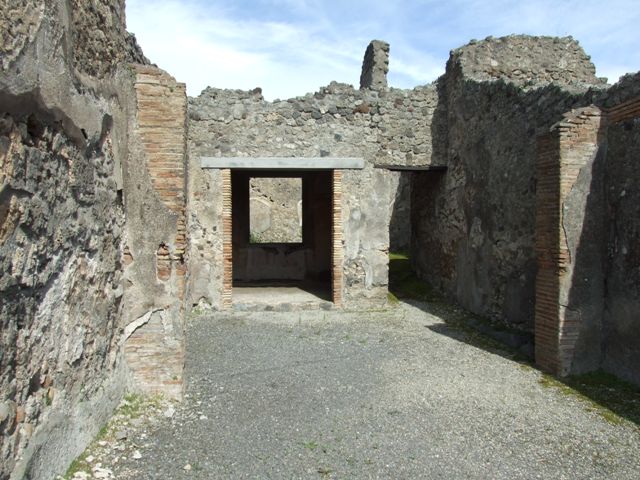 IX.2.5 Pompeii. March 2009. Triclinium. South wall.