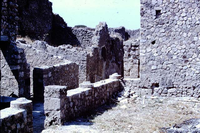 IX.2.10 Pompeii. December 2007. Painted arched ceiling from south side of tablinum.