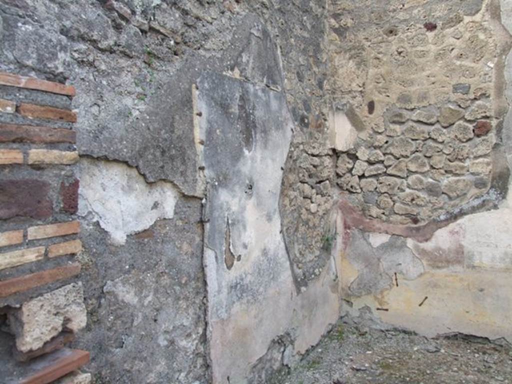 IX.2.21 Pompeii. March 2009. Room 5, west wall from the north portico. According to Bragantini, the west wall would have had a yellow dado. The middle zone would have had a yellow central panel, with red side panels. The floor was cocciopesto with black and white scattered tesserae.
See Bragantini, de Vos, Badoni, 1986. Pitture e Pavimenti di Pompei, Parte 3. Rome: ICCD. (p.423, ambiente �f�)
