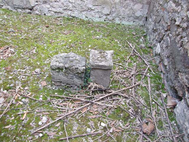IX.2.21 Pompeii. March 2009. Room 13, remains of painted plaster on north wall.  