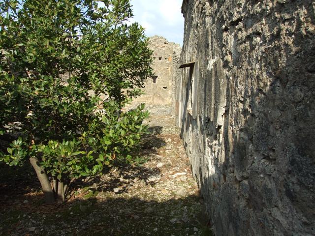 IX.2.21 Pompeii.   March 2009.  Room 14, with door to room 13.   Looking north-west.